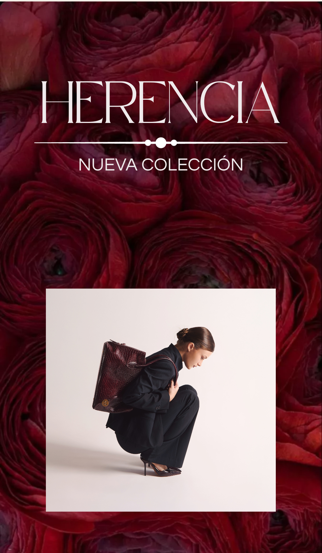 NUEVA_COLECCION_be3aa749-f91a-44d5-ad0c-68a8521793a7.png