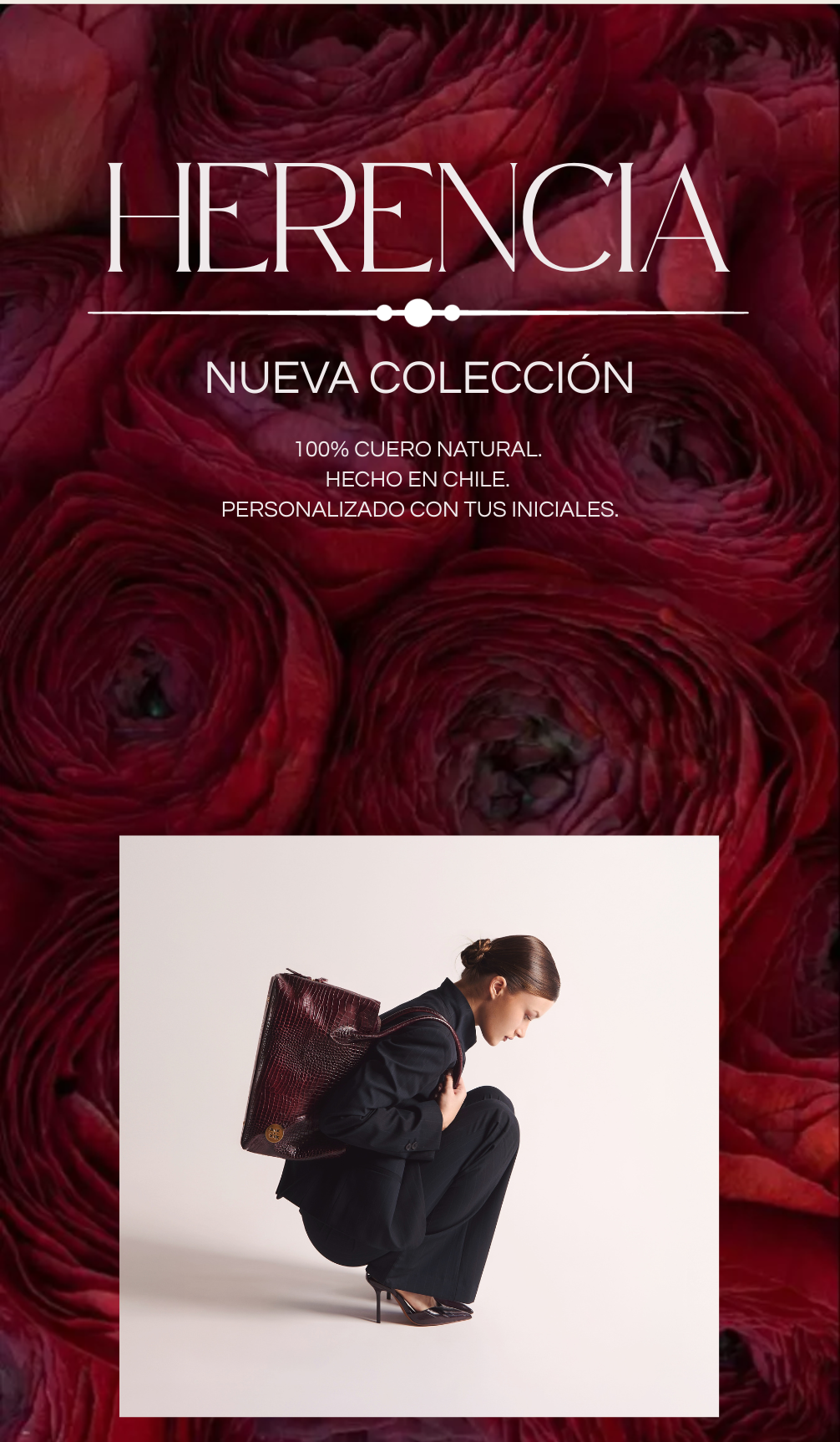 NUEVA_COLECCION_f9c8bef4-fa40-4c7d-80ac-1bee3a621a0f.png